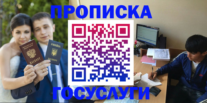 временная регистрация в Щиграх